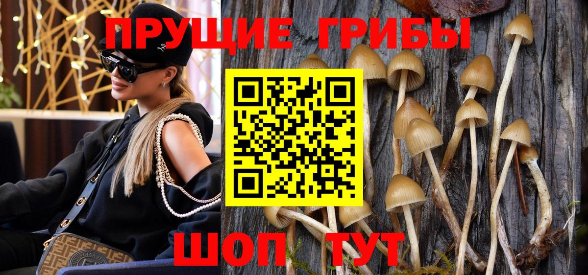 Псилоцибиновые грибы мицелий Строитель