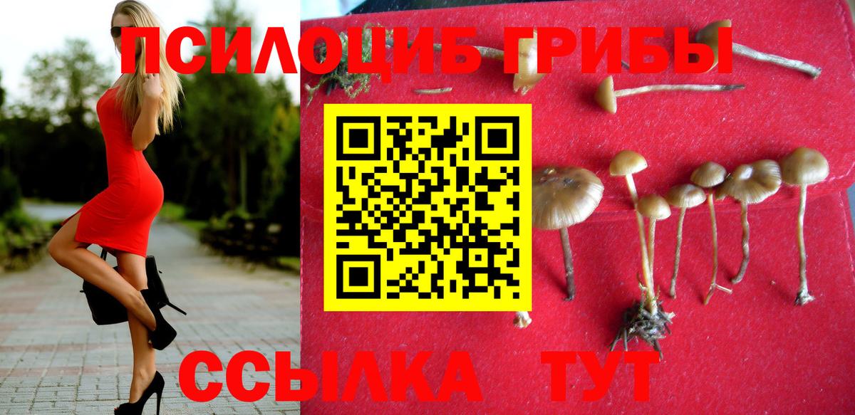 Строитель  Псилоцибиновые грибы прущие грибы  Вход с VPN 